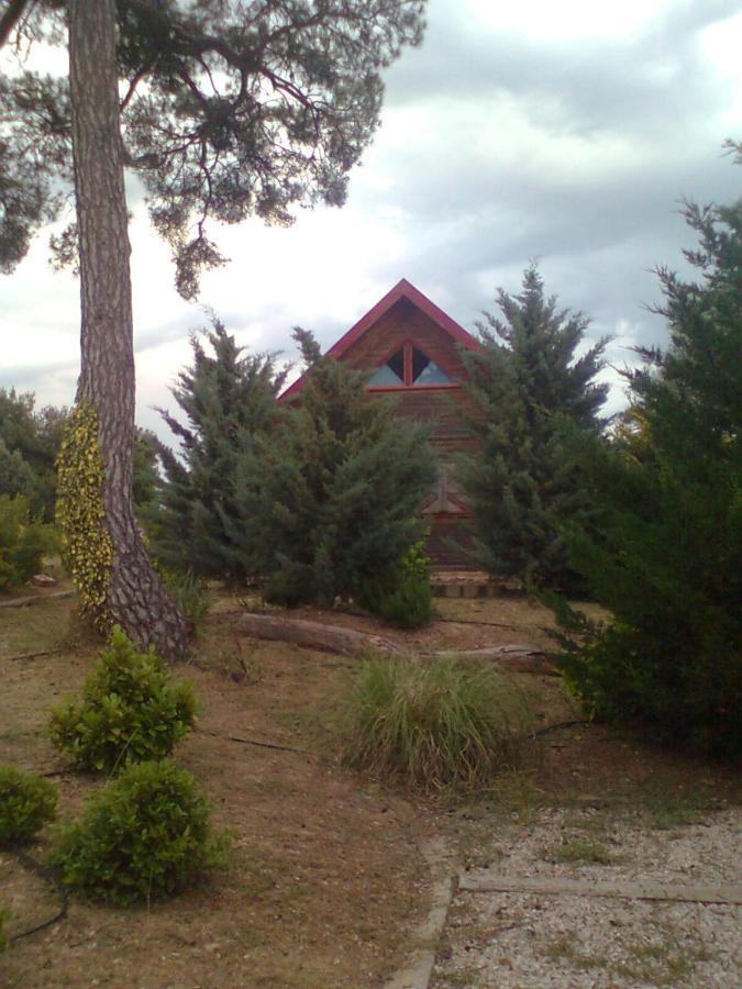 El Muerdago De Canada Casa de hóspedes Cañada del Hoyo Exterior foto